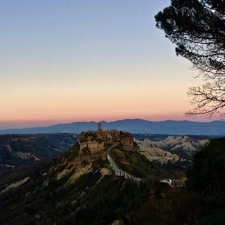Podere Porcino Civitella dʼAgliano Kültér fotó