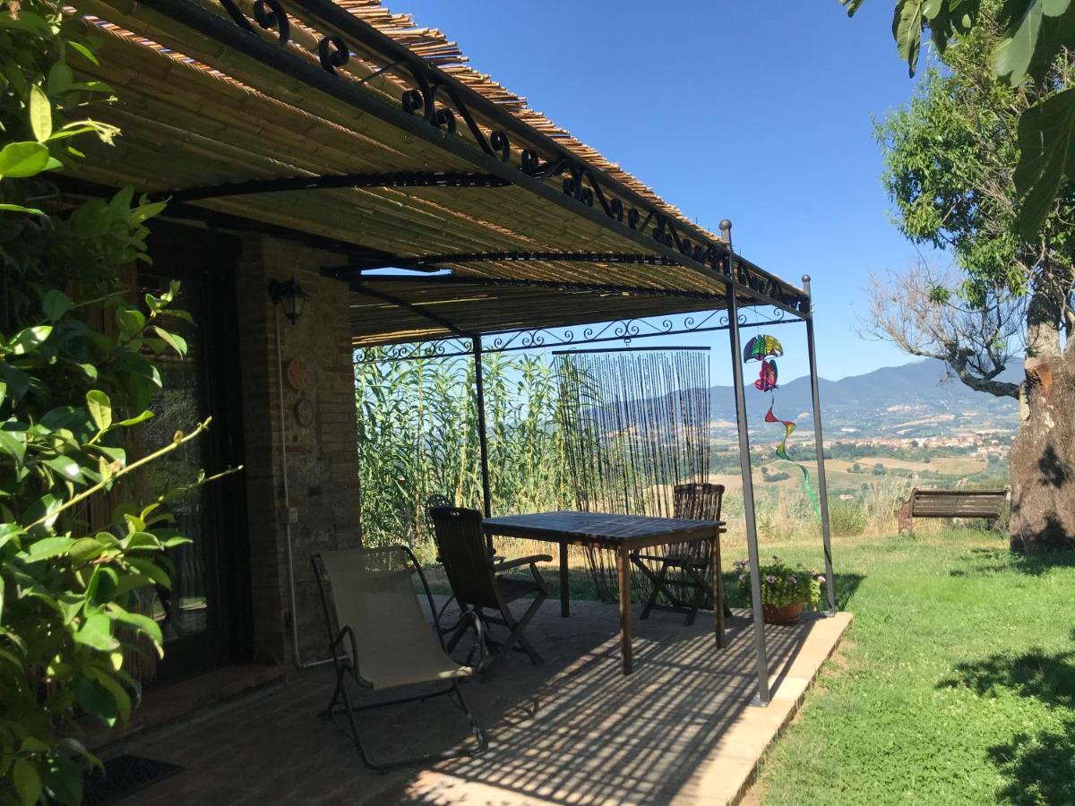 Podere Porcino Civitella dʼAgliano Kültér fotó
