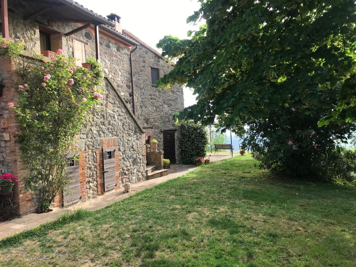 Podere Porcino Civitella dʼAgliano Kültér fotó