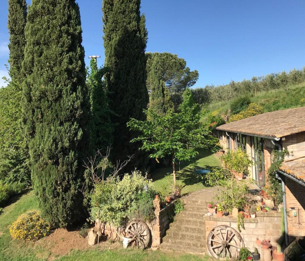 Podere Porcino Civitella dʼAgliano Kültér fotó