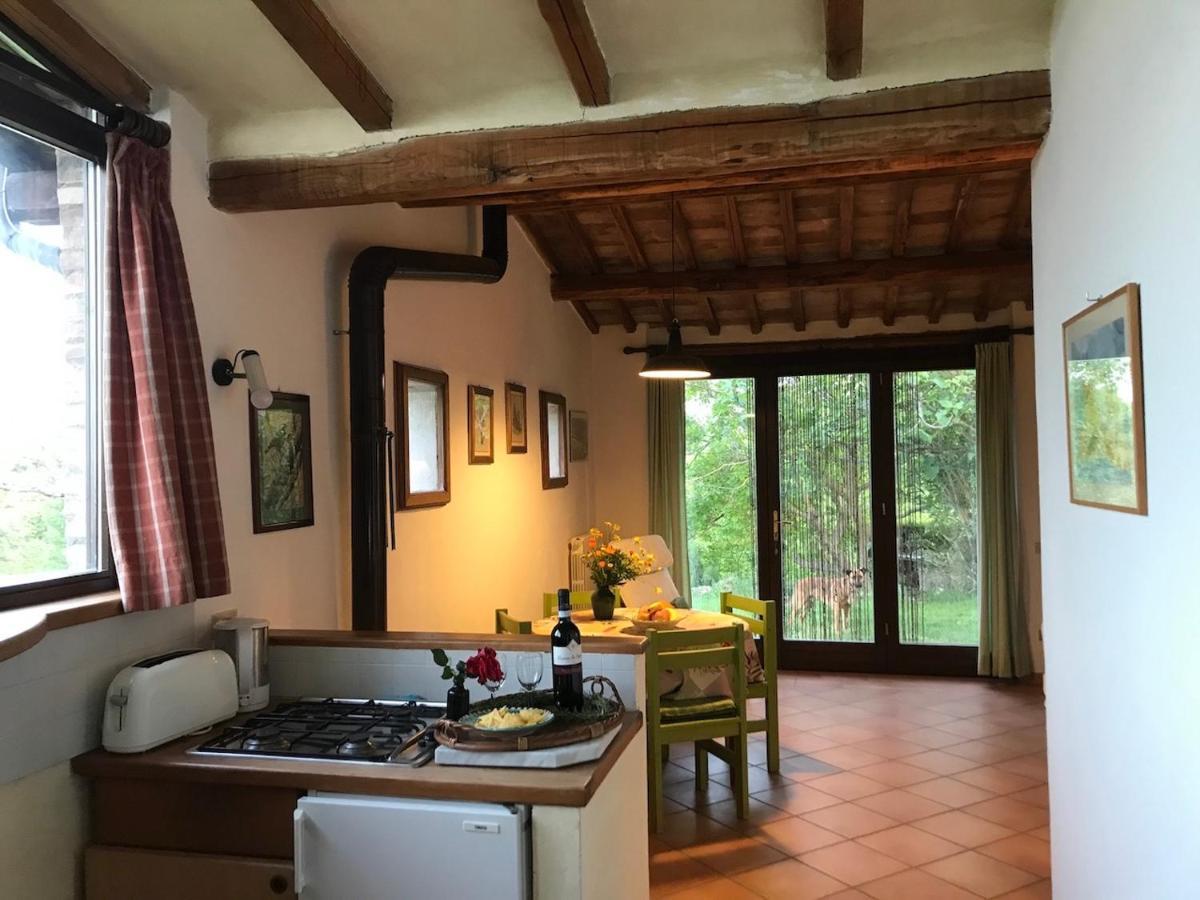 Podere Porcino Civitella dʼAgliano Kültér fotó