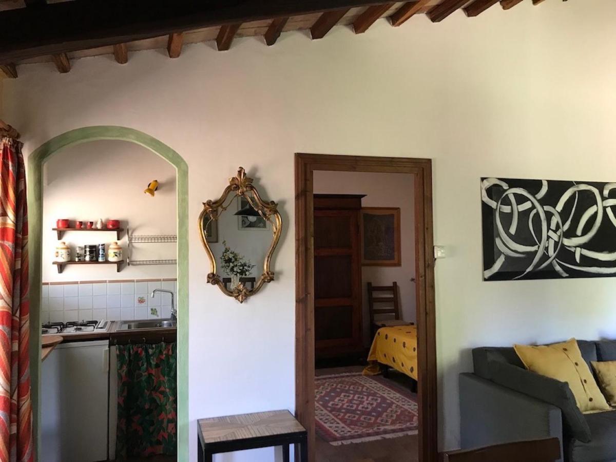 Podere Porcino Civitella dʼAgliano Kültér fotó