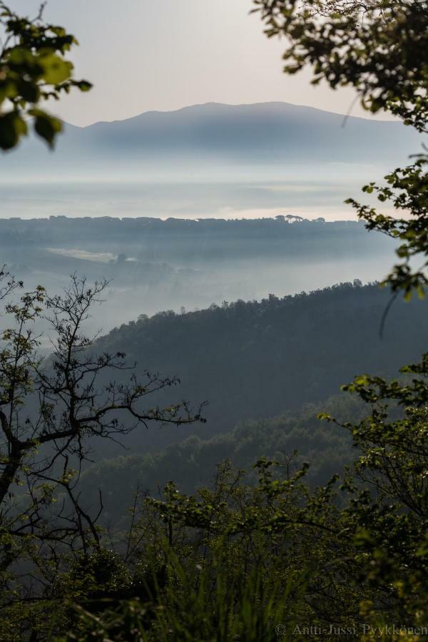 Podere Porcino Civitella dʼAgliano Kültér fotó