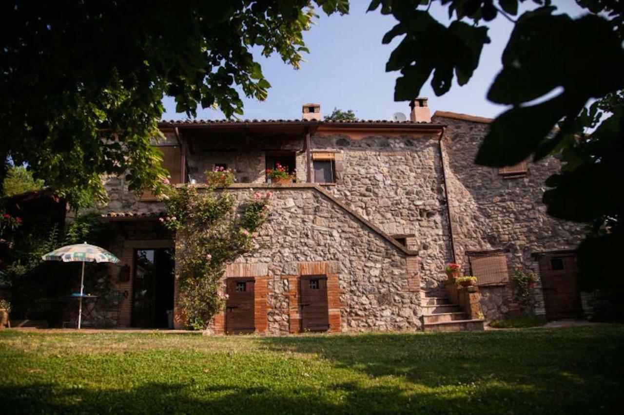 Podere Porcino Civitella dʼAgliano Kültér fotó