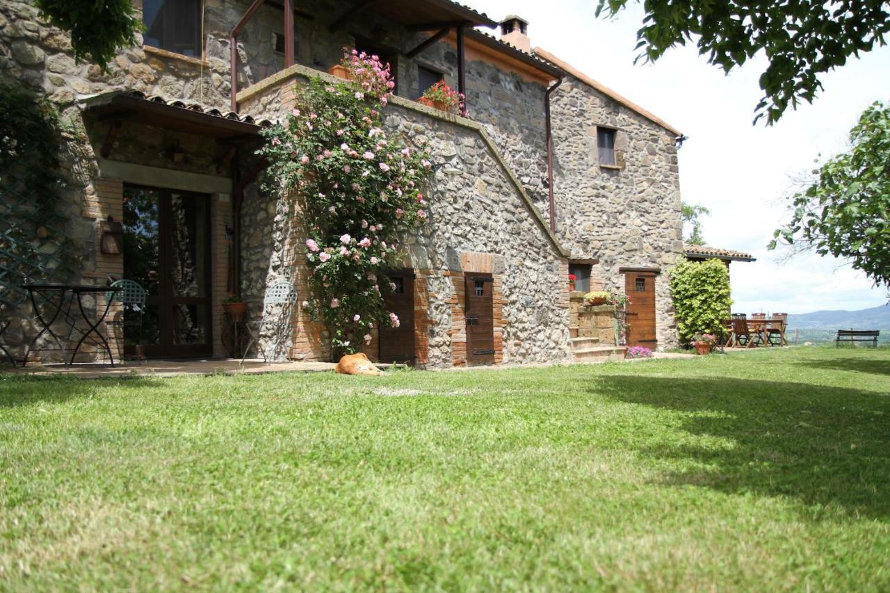 Podere Porcino Civitella dʼAgliano Kültér fotó