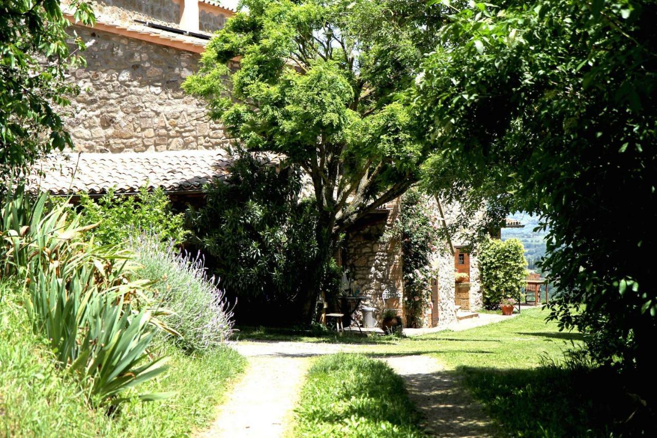 Podere Porcino Civitella dʼAgliano Kültér fotó