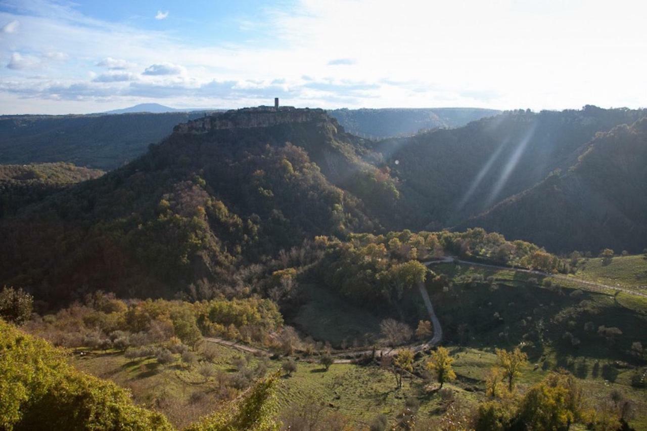 Podere Porcino Civitella dʼAgliano Kültér fotó