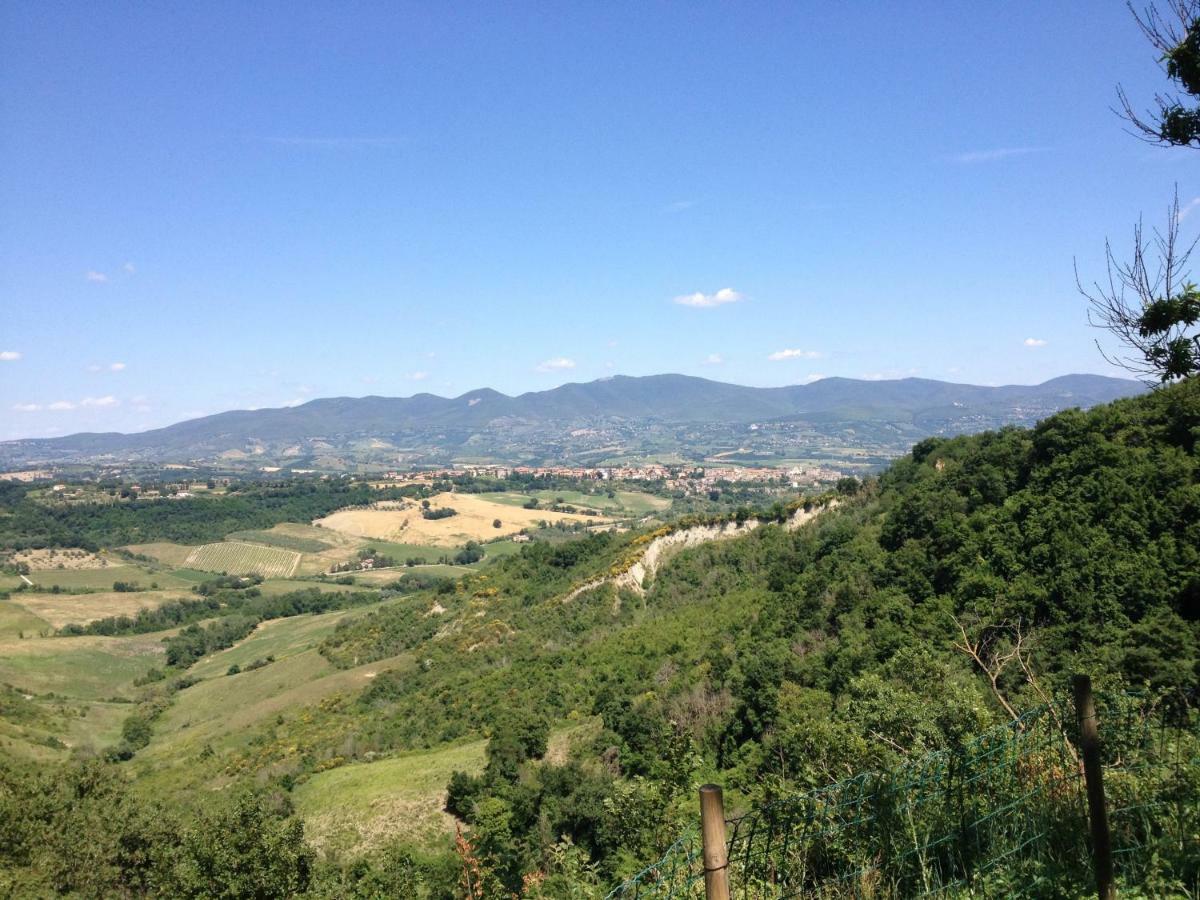 Podere Porcino Civitella dʼAgliano Kültér fotó