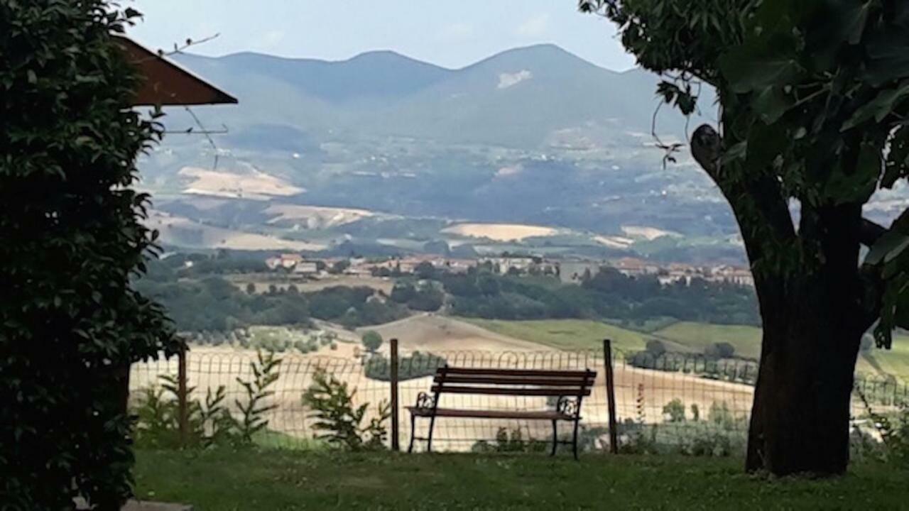 Podere Porcino Civitella dʼAgliano Kültér fotó