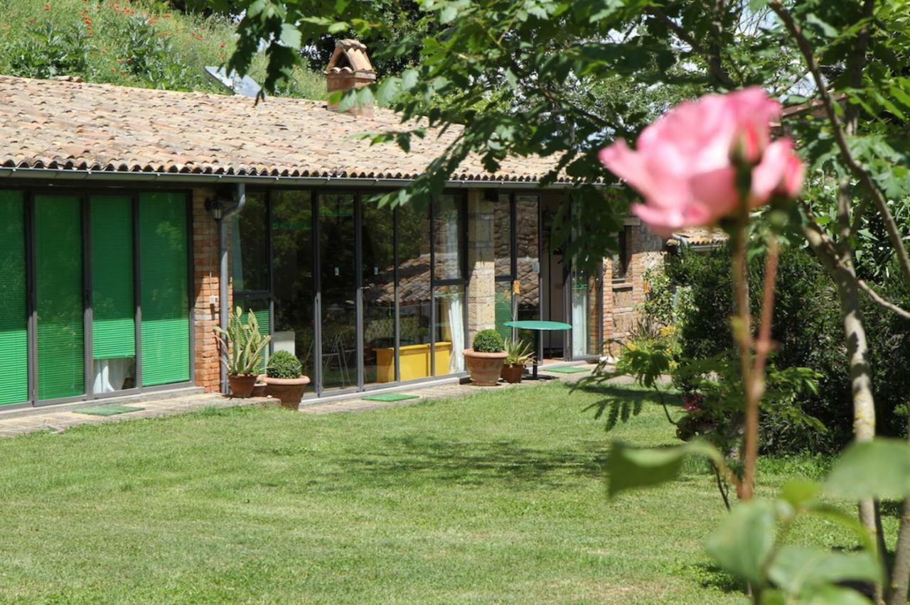 Podere Porcino Civitella dʼAgliano Kültér fotó