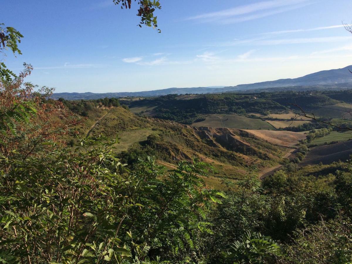 Podere Porcino Civitella dʼAgliano Kültér fotó
