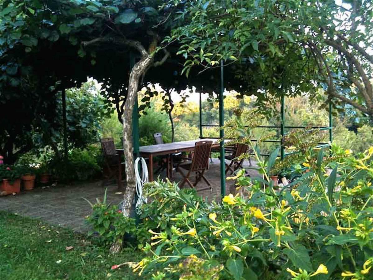 Podere Porcino Civitella dʼAgliano Kültér fotó